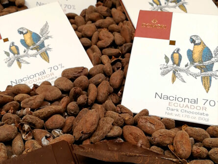 Schokolade und Kakaobohnen aus Ecuador